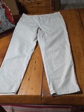 Patagonia Womens  Chino Pants Sz 10